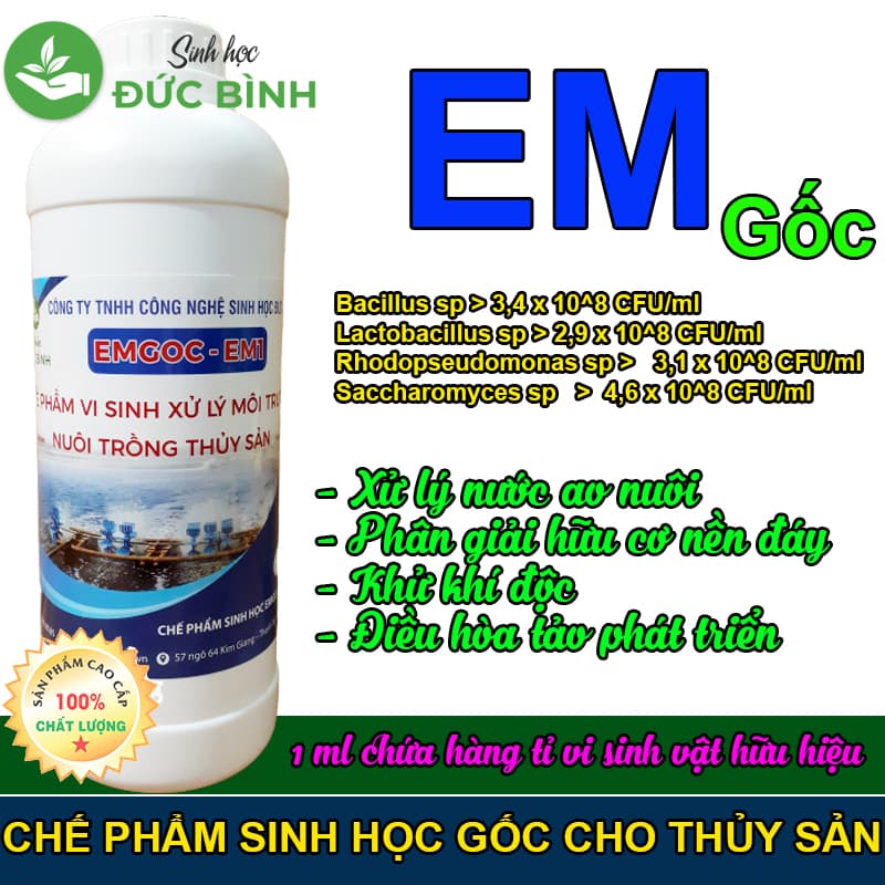 CHẾ PHẨM VI SINH EM GỐC - EM THỦY SẢN, MEN VI SINH XỬ LÝ MÔI TRƯỜNG NUÔI TRỒNG THỦY SẢN
