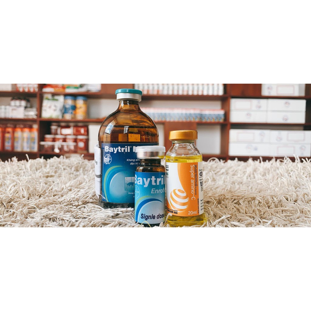COMBO BAYTRIL MAX + SUPER AMINO C - CHUYÊN TR.I CÁC BỆNH ĐƯỜNG RUỘT GÀ ĐÁ - PHỤC HỒI SAU BỆNH