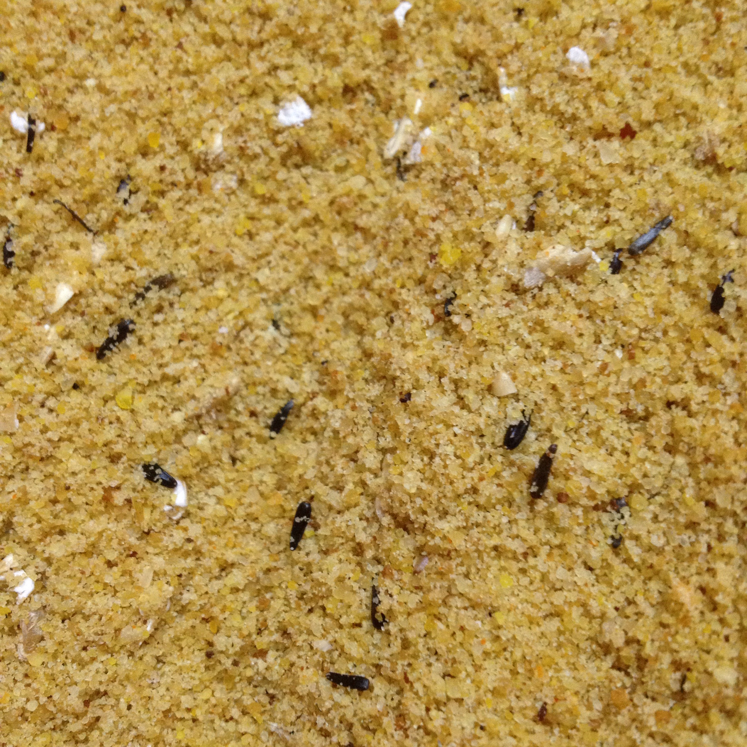 CÁM TRỨNG DELI NUTURE CHO YẾN HÓT, FINCHES Deli Nature Eggfood yellow Moist - 500g