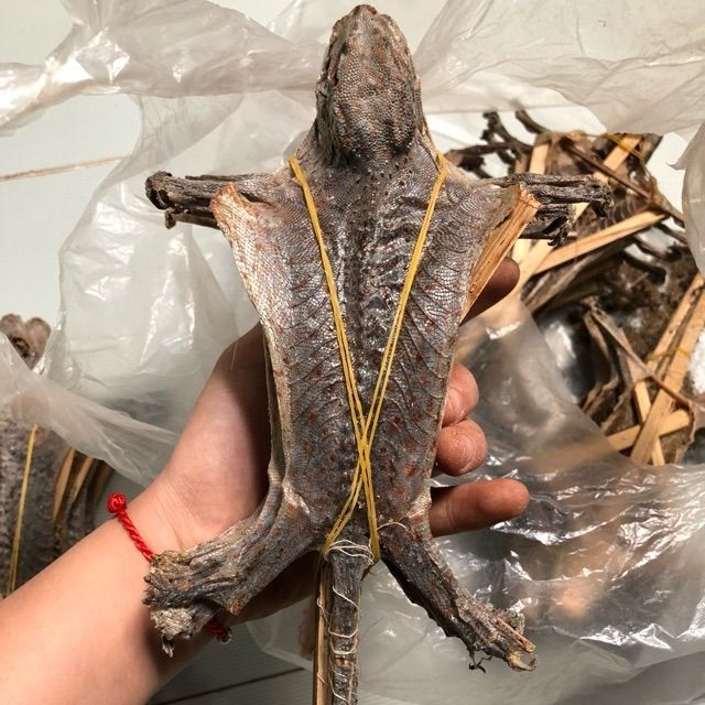 Tắc kè sấy khô 1 cặp (1 đực, 1 cái) - thảo dược tấn phát