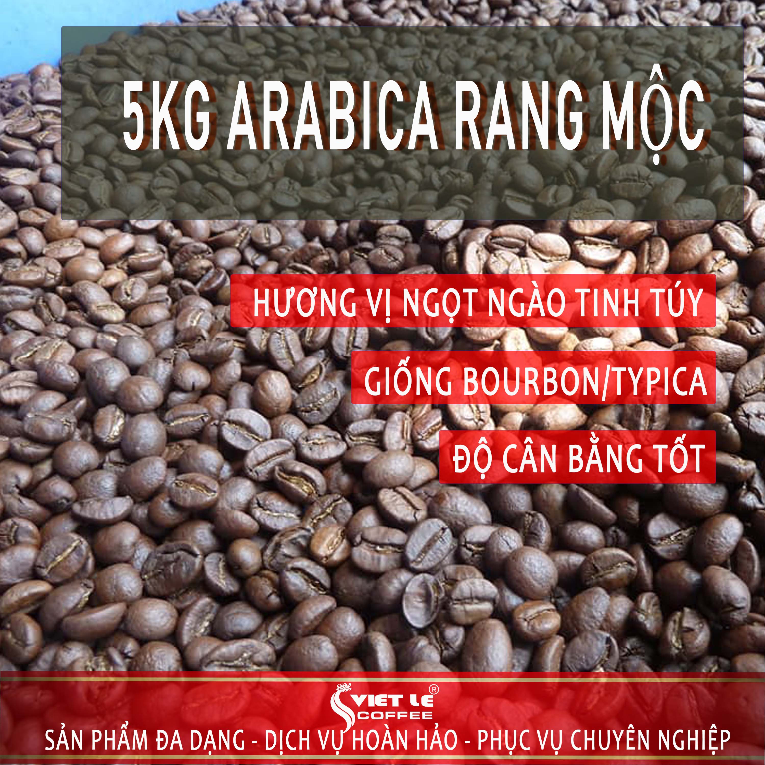 5kg cà phê arabica rang mộc nguyên chất viet le coffee