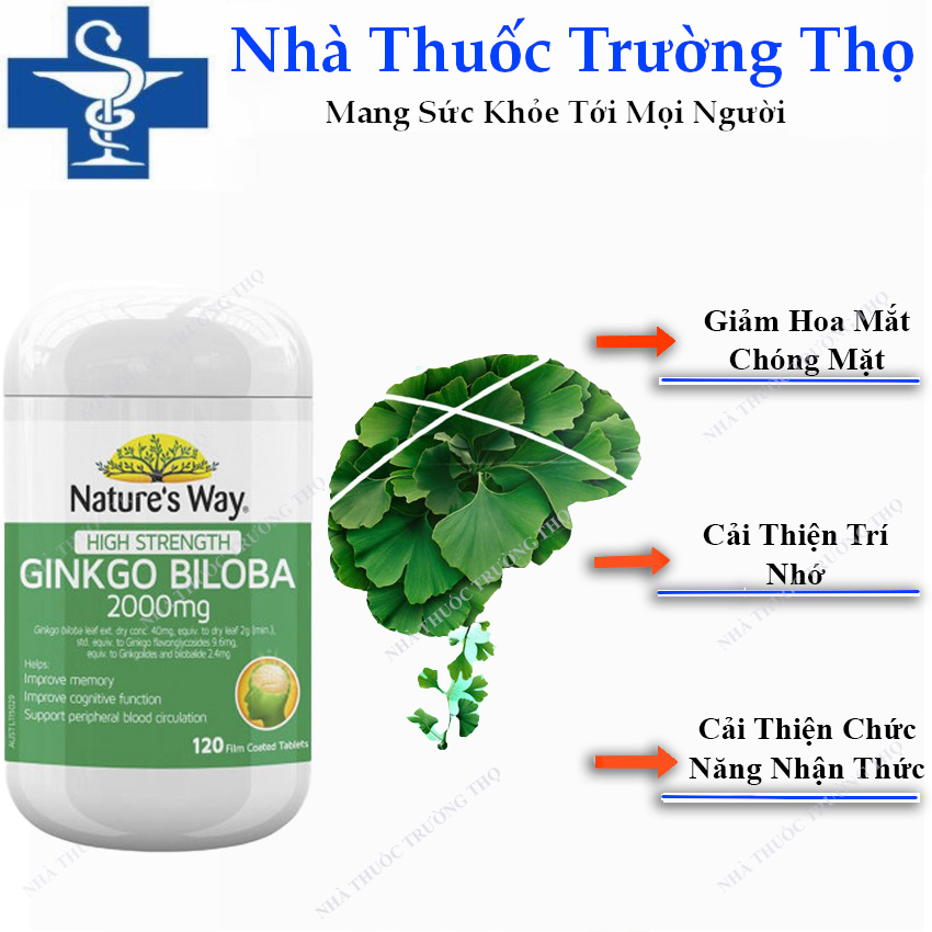 Bổ não ginkgo biloba nature's way úc 120 viên