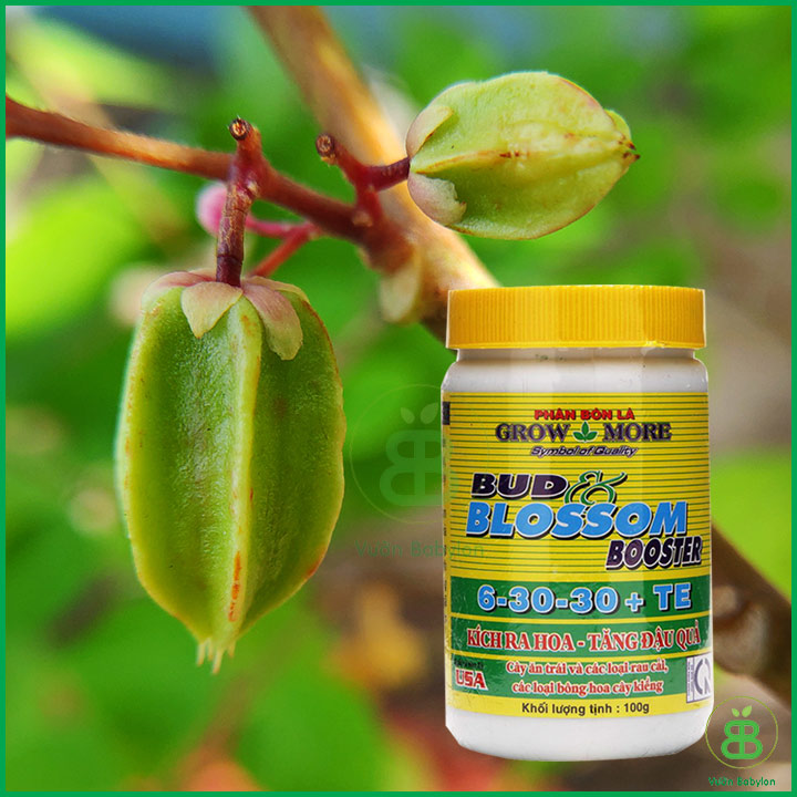 Phân bón lá growmore 6 30 30 hỗ trợ cây trồng trong giai đoạn ra hoa đậu quả