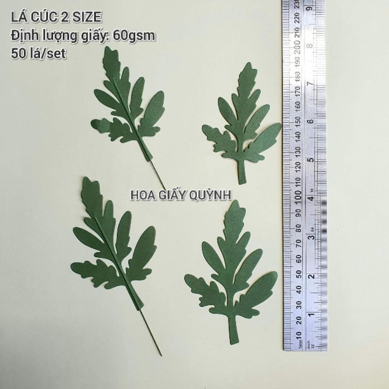 Set 50 lá cúc 2 size cắt sẵn