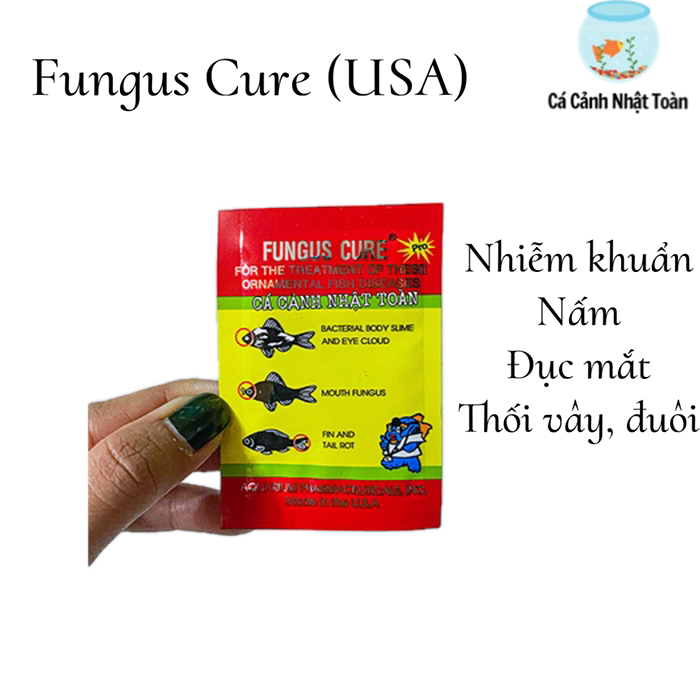 "Hoàn tiền đến 10%" Fungus Cure bệnh cá nhiễm khuẩn nấm đục mắt thối rữa vây và đuôi cho cá kiểng