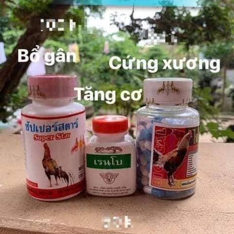 Bộ th.uốc nuôi mạnh gân gối cho gà đá : Bổ gân - bổ xương - tăng cơ bắp