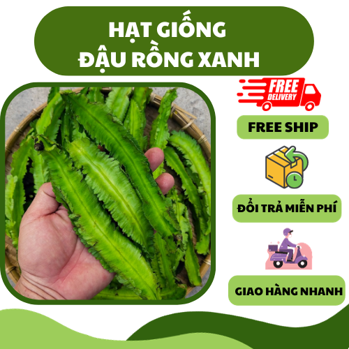 Hạt giống đậu rồng cao sản - dễ trồng,giòn, dinh dưỡng cao