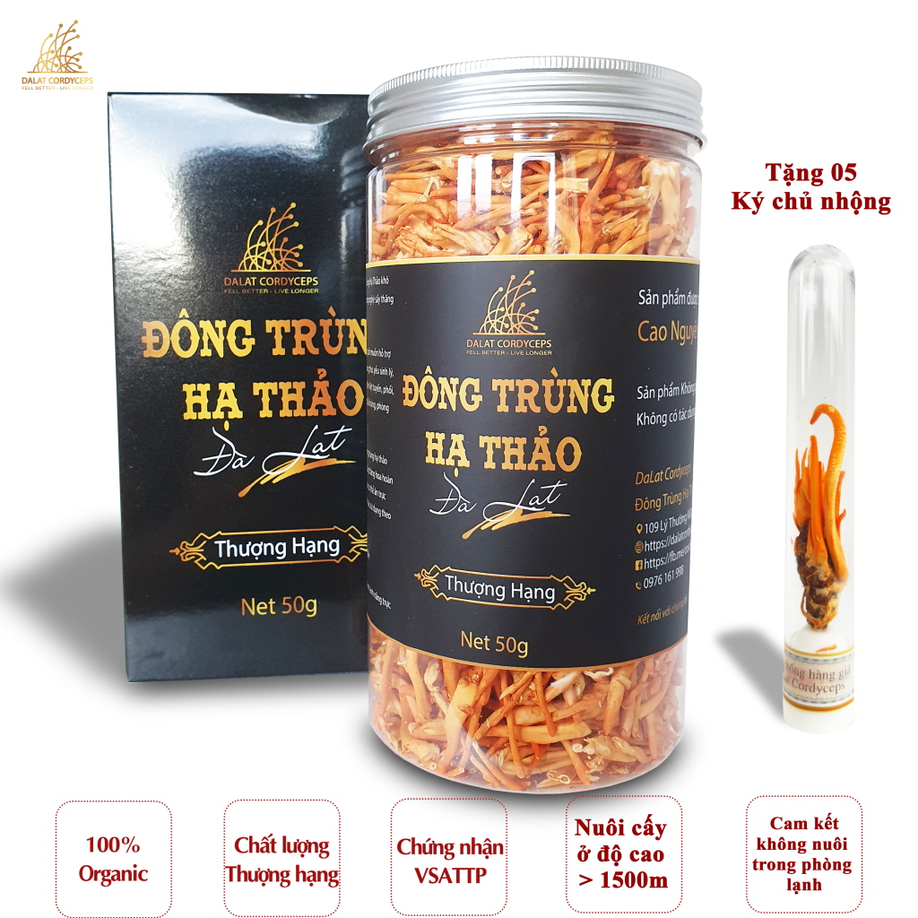 Nấm đông trùng hạ thảo khô sấy thăng hoa (50gr) - Dalat Cordyceps - Nuôi trồng 100% Organic trên Cao nguyên Đà Lạt