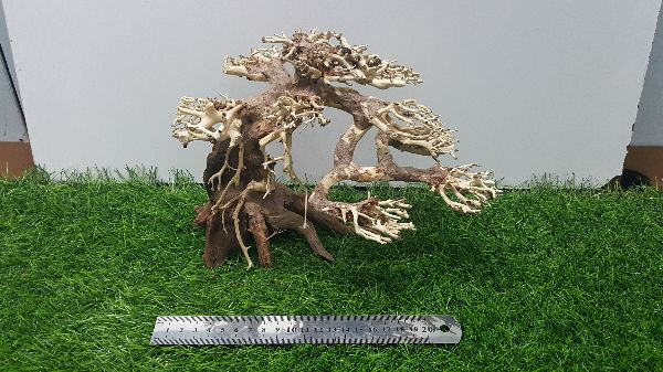 [HCM]Lũa bonsai cấy rêu ( dài23- cao16cm)