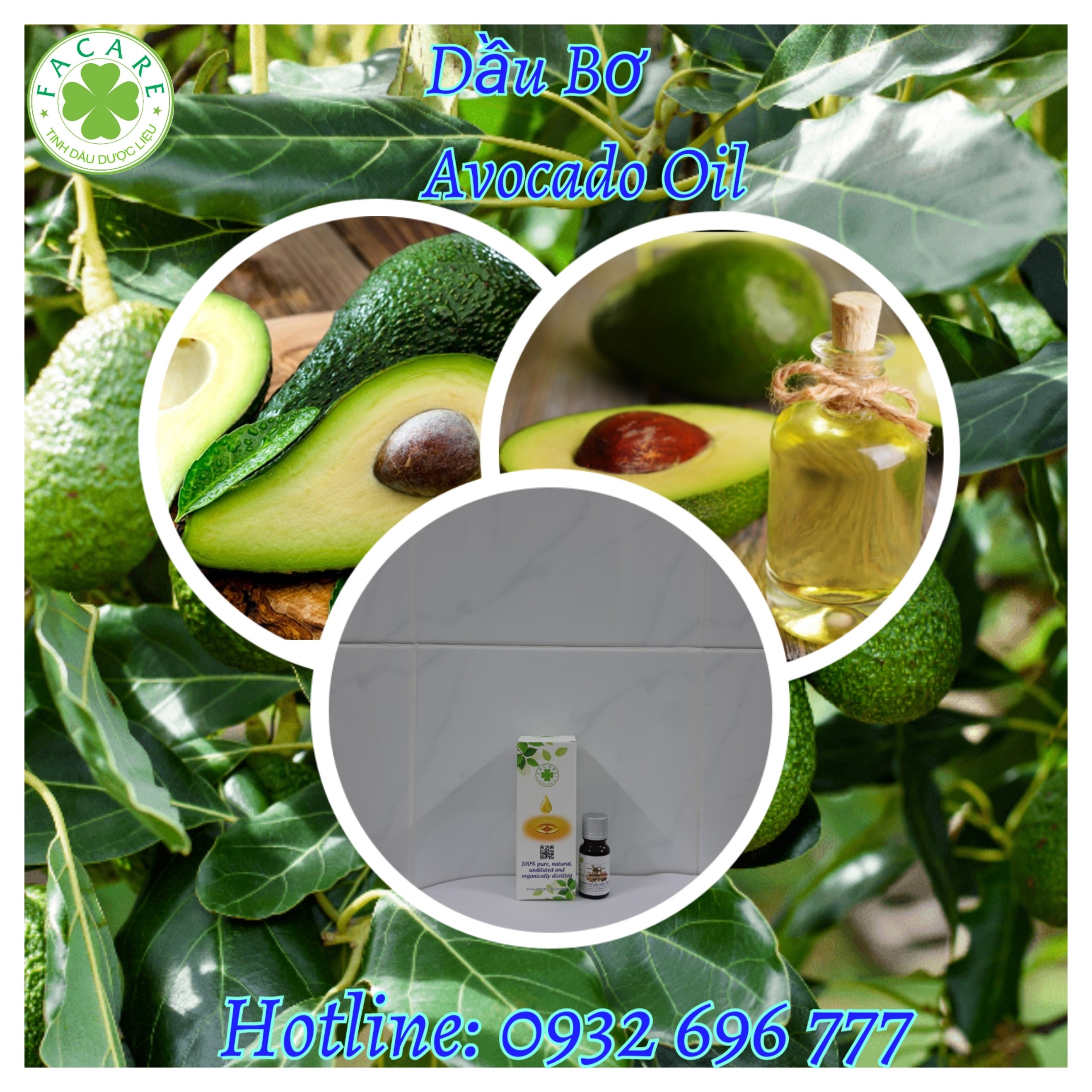 Dầu bơ avocado oil - 100ml
