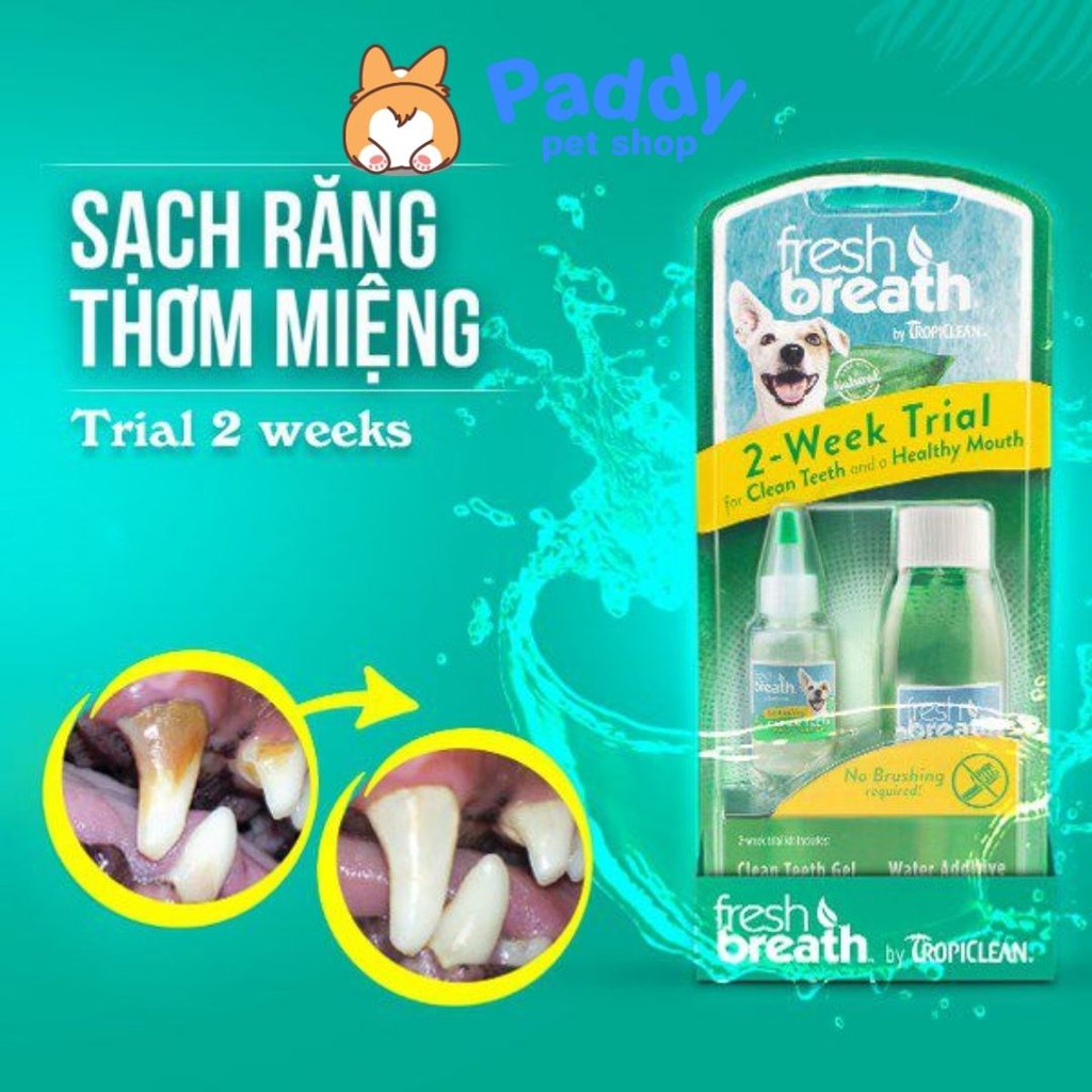 Set Gel & Dung Dịch Làm Sạch Răng Miệng Chó Mèo Tropiclean