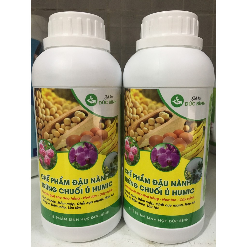 Chế phẩm đậu lành ủ trứng chuối và humic 500ml_Đậu Nành Trứng Chuổi Ủ Humic Kích Rễ Khỏe, Mầm Mập, Chồi Cực Mạnh