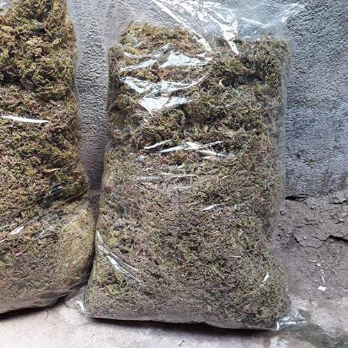 0.5 kg rêu rừng trồng lan giữ ẩm tốt - rêu rừng khô, hàng chất lượng