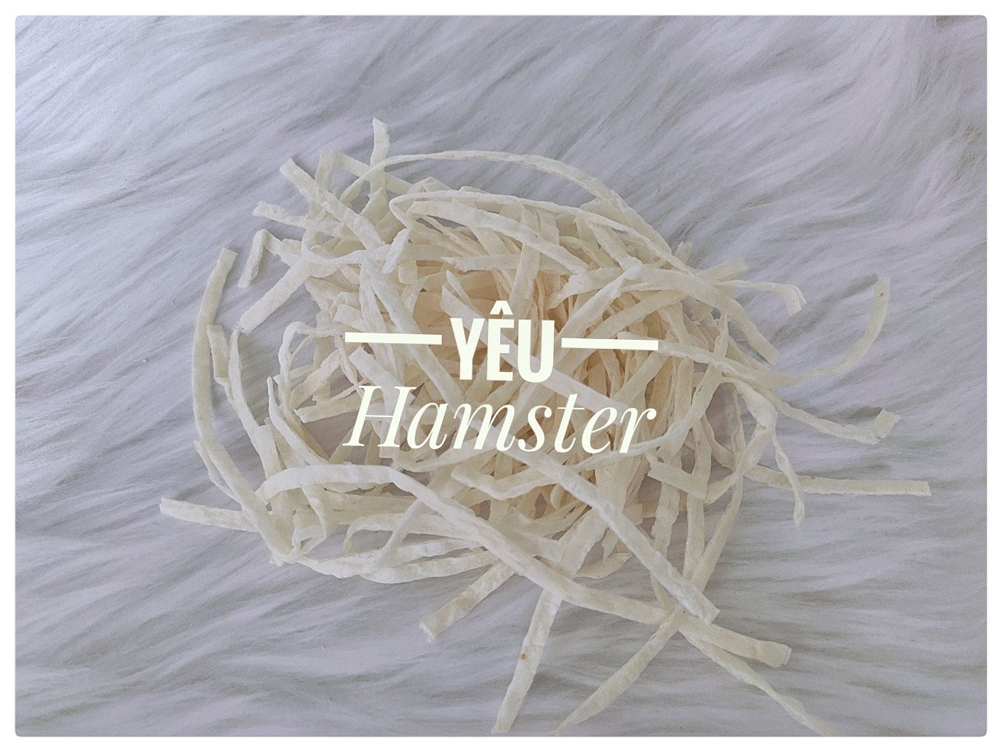 [HCM] Cá tuyết sợi thức ăn cho Hamster, sóc, thú cưng