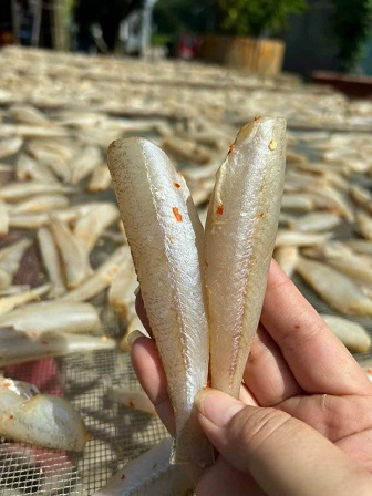 Khô cá bống không đầu, cá bống kho tiêu. cá bống khô lạt thịt dai ngon. cam kết không ngon hoàn lại tiền