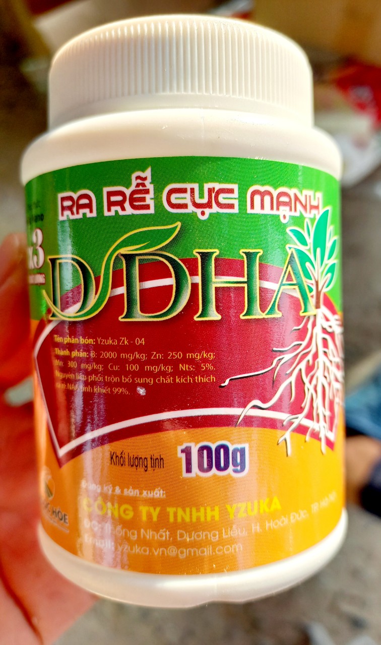 RA RỄ CỰC MẠNH HŨ 100GR