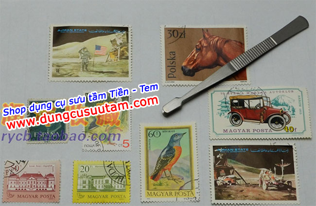 Kẹp gắp tem 12cm thường