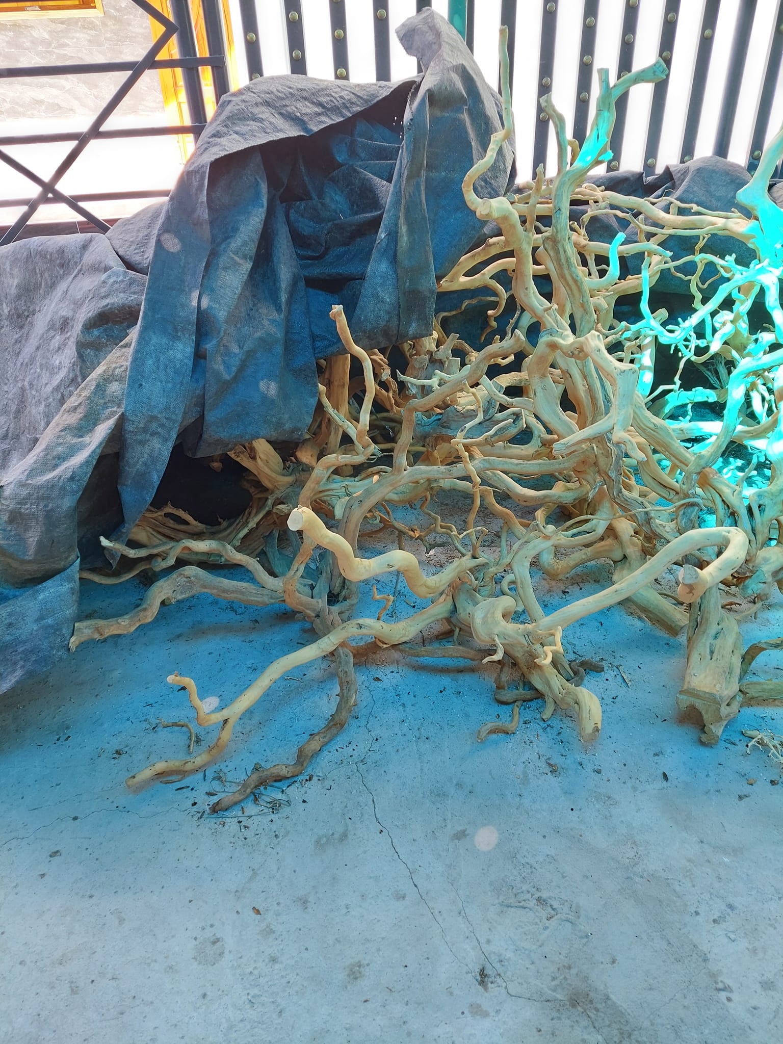 LŨA NHÁNH ĐỖ QUYÊN TRANG TRÍ HỒ CÁ THUỶ SINH 1KG