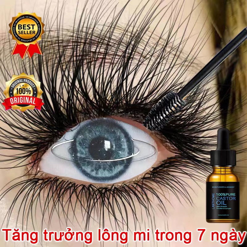 Chất tinh dầu mọc lông mi, dầu thầu dầu hữu cơ tự nhiên 10ml
