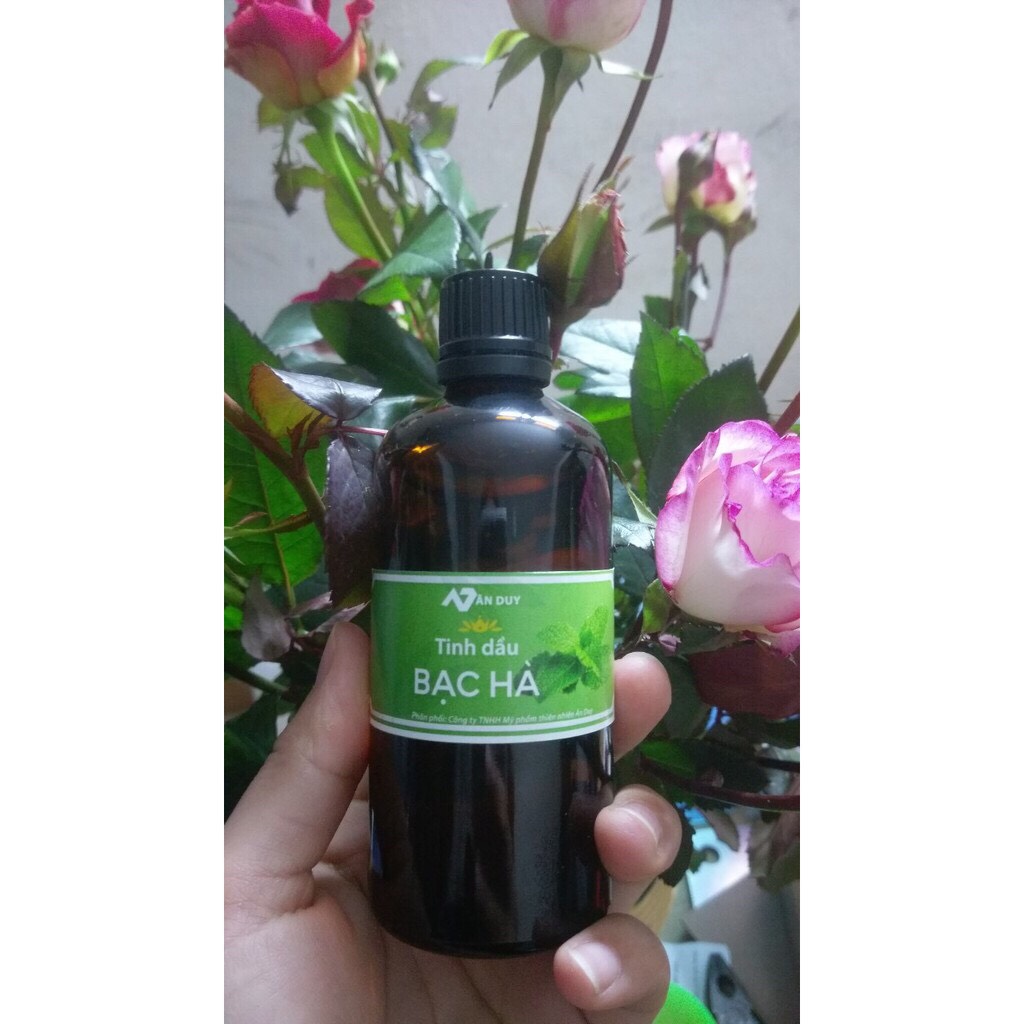 Tinh dầu bạc hà 50ml