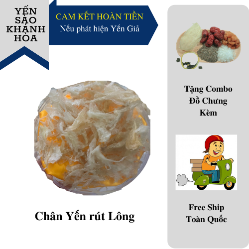Chân Yến Rút Lông 50gram - Yến Sào Khánh Hòa - Tặng Kèm Táo đỏ, Hạt Chia, Long Nhãn, Đường Phèn, Cẩm Nang