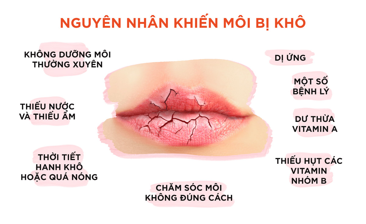 Son Dưỡng DHC Lip Cream giảm khô môi