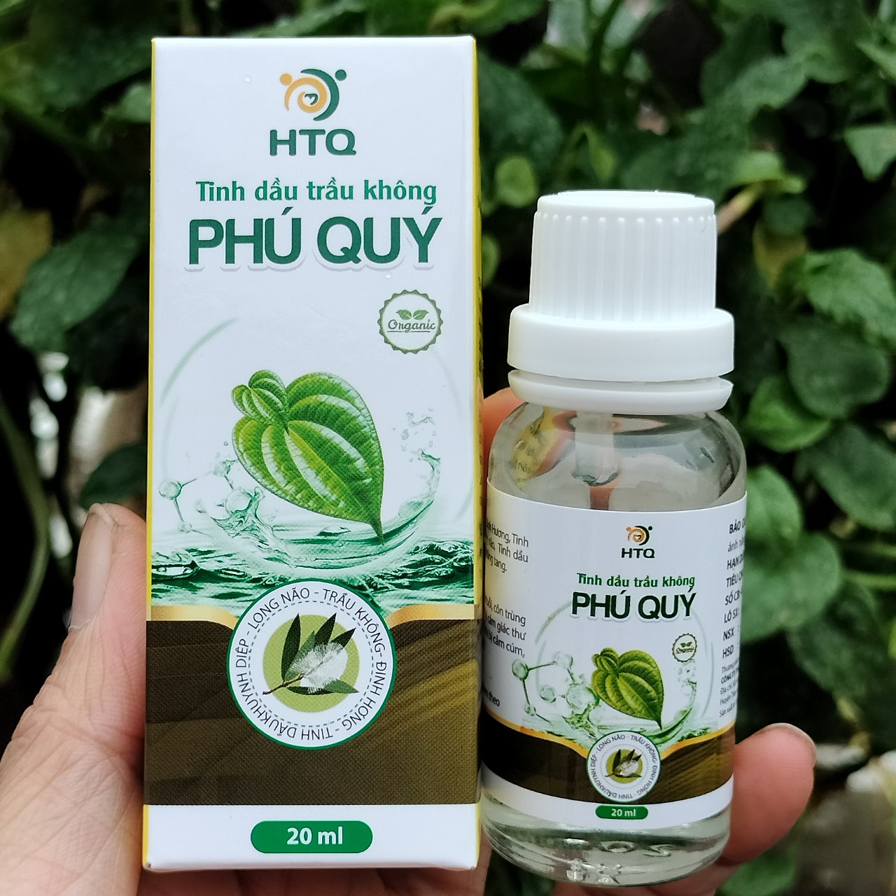 tinh dầu trầu không phú quý - 20ml hết ho sổ mũi - tinh dầu trầu không - trầu không phú quý - tinh dầu trầu không phú quý hết ho sổ mũi cho trẻ sơ xinh và trẻ nhỏ
