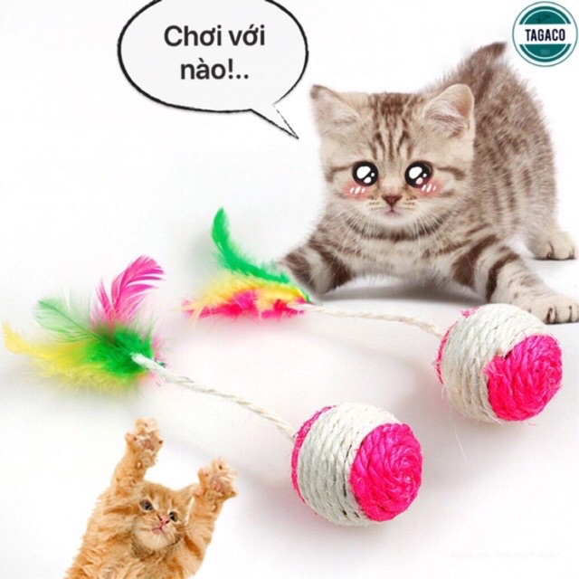Đồ chơi cho chó mèo - bóng cói xúc xắc vui nhộn