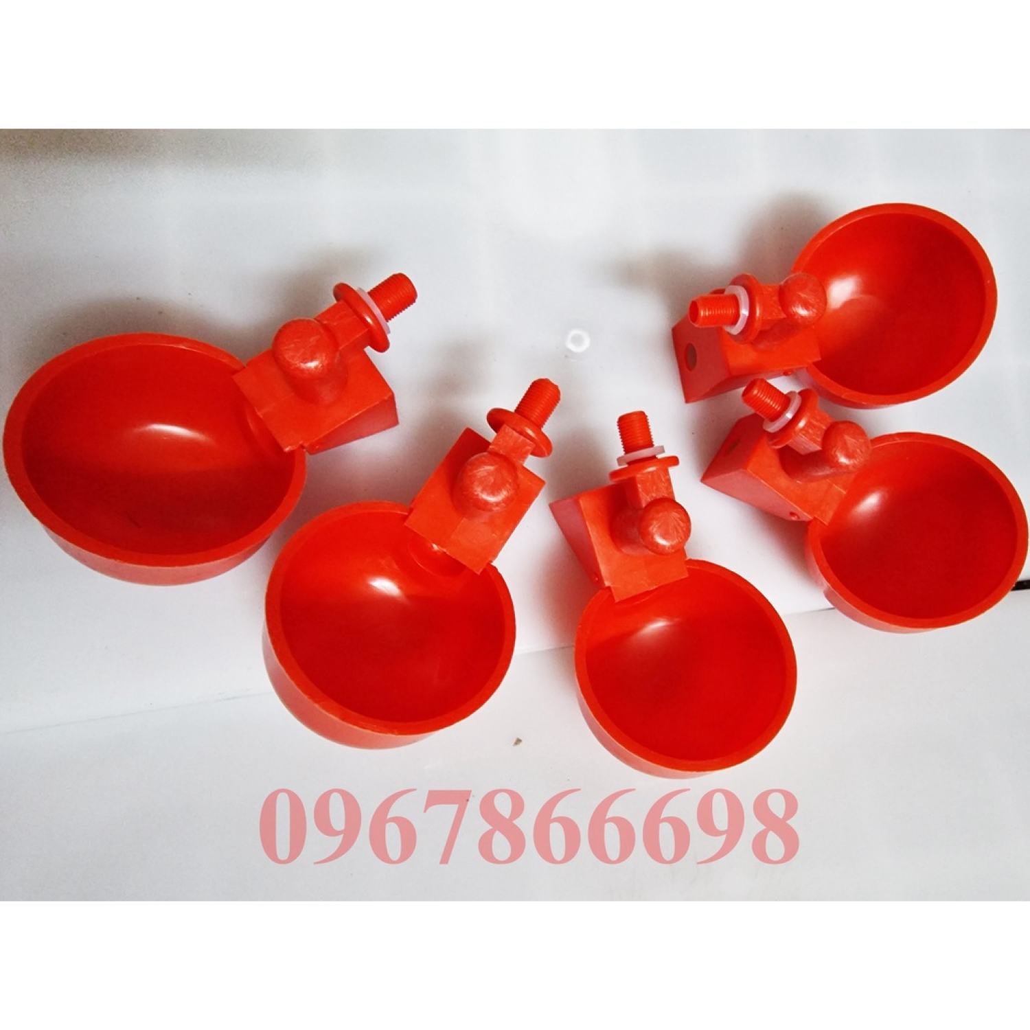 10 cốc nước tự động cho gà, chim bồ câu rất tiện lợi
