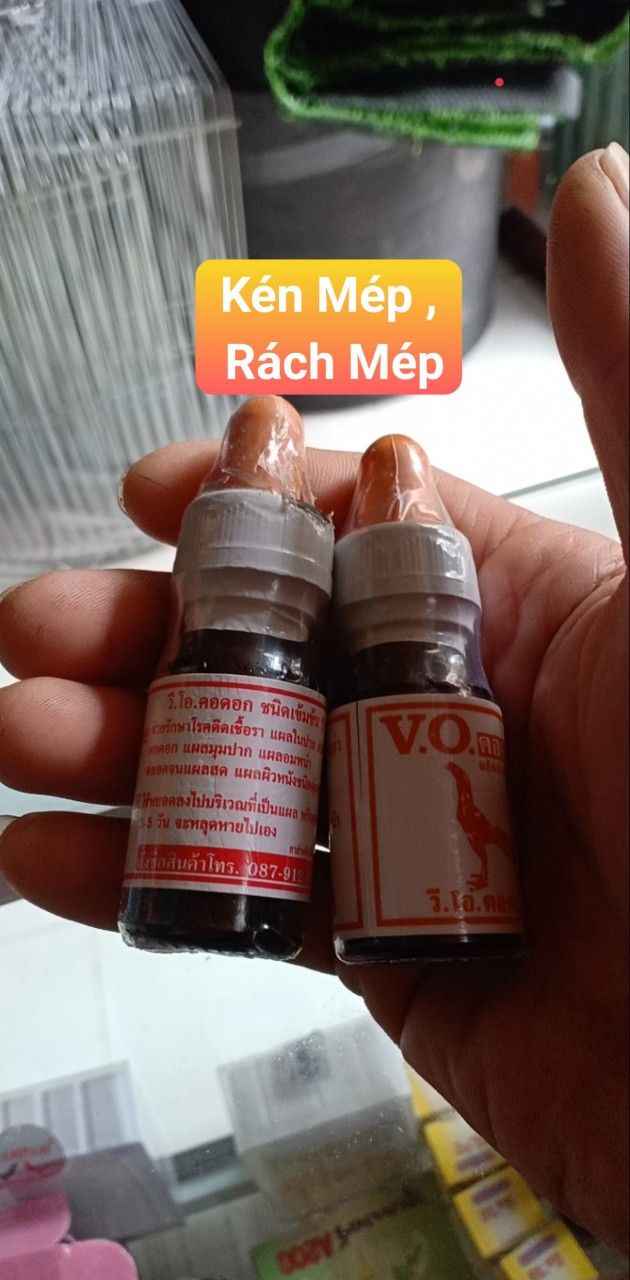 Bôi kén mép , rách mép cho gà