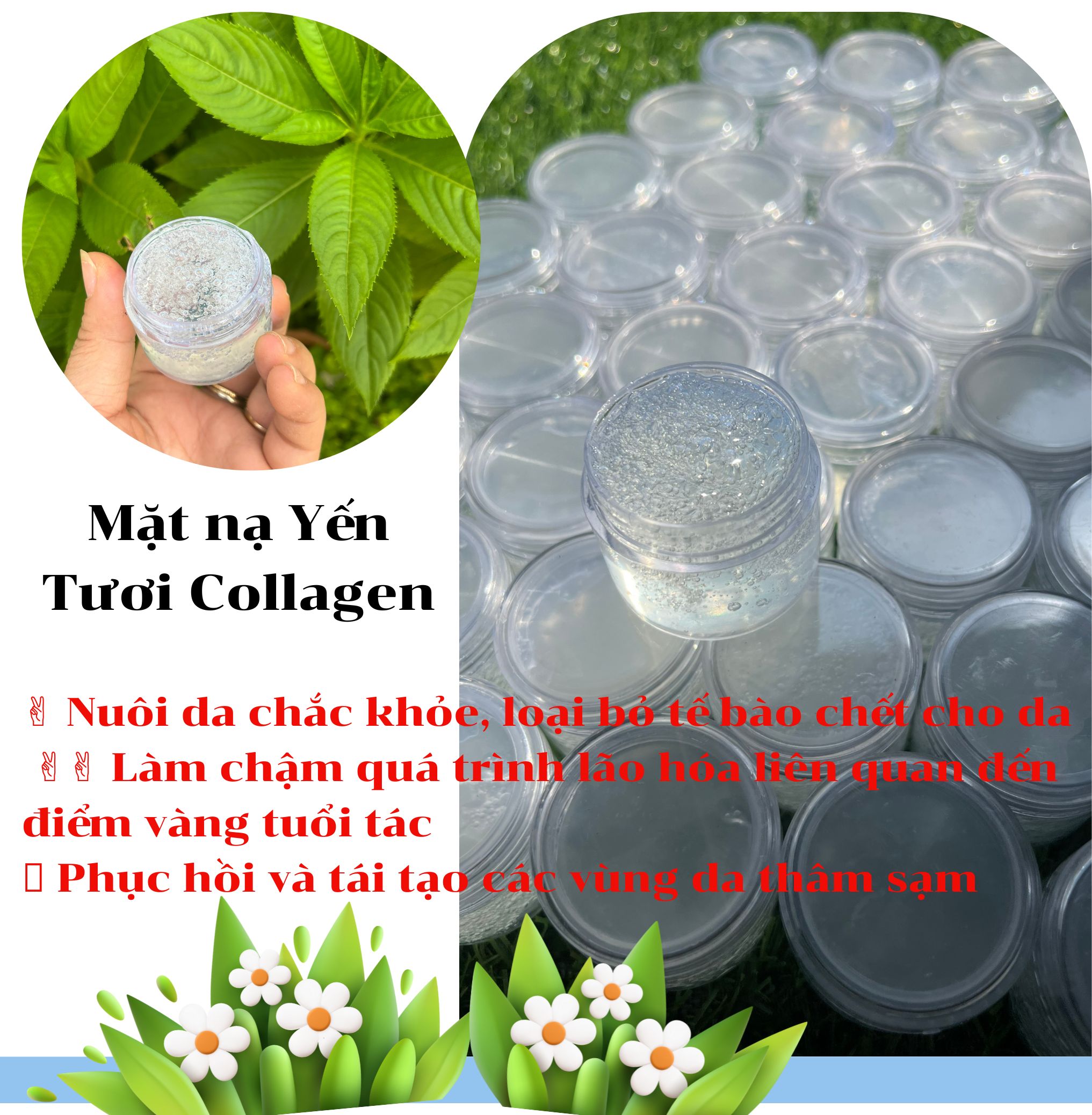 [HCM]Mặt nạ yến tươi collagel dưỡng da thiên nhiên Làm mát da cấp ẩm cho da dưỡng trắng da ngăn ngừa mụn sản sinh collagen TRẺ HÓA DA MẶT Dưỡng trắng chuyên sâu giúp da trắng hồng đều màu