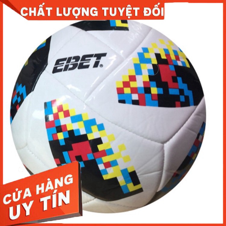 Quả bóng đá Động Lực may số 5 (nhiều màu)