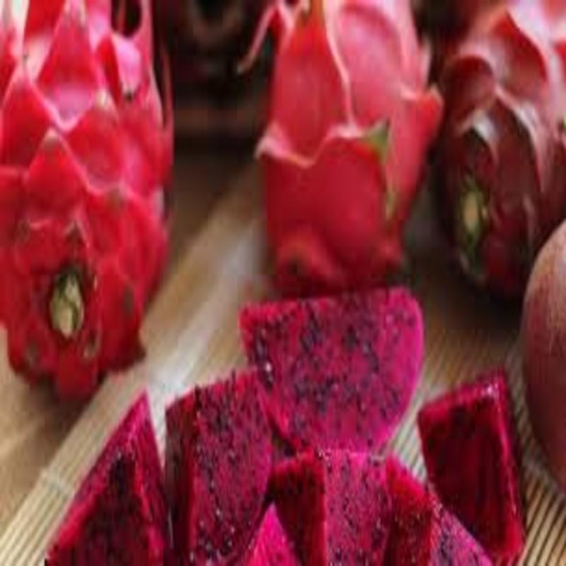 THANH LONG RUỘT ĐỎ ngọt mát - hàng cây giống chuẩn F1