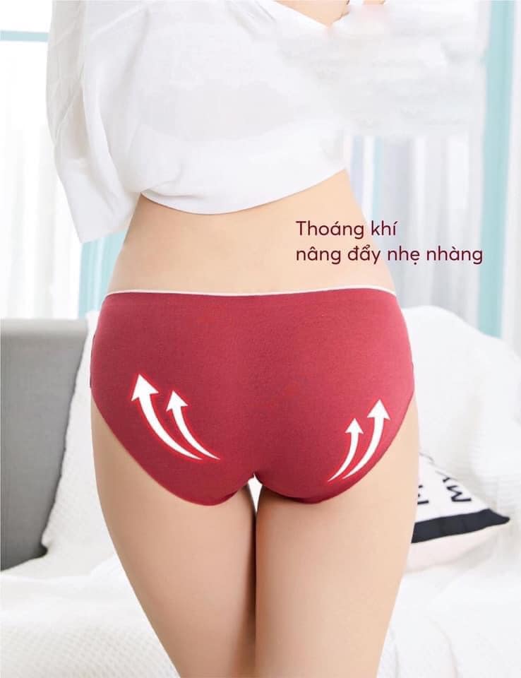 Combo 5 quần lót cotton kháng khuẩn cao cấp, thời trang 1992