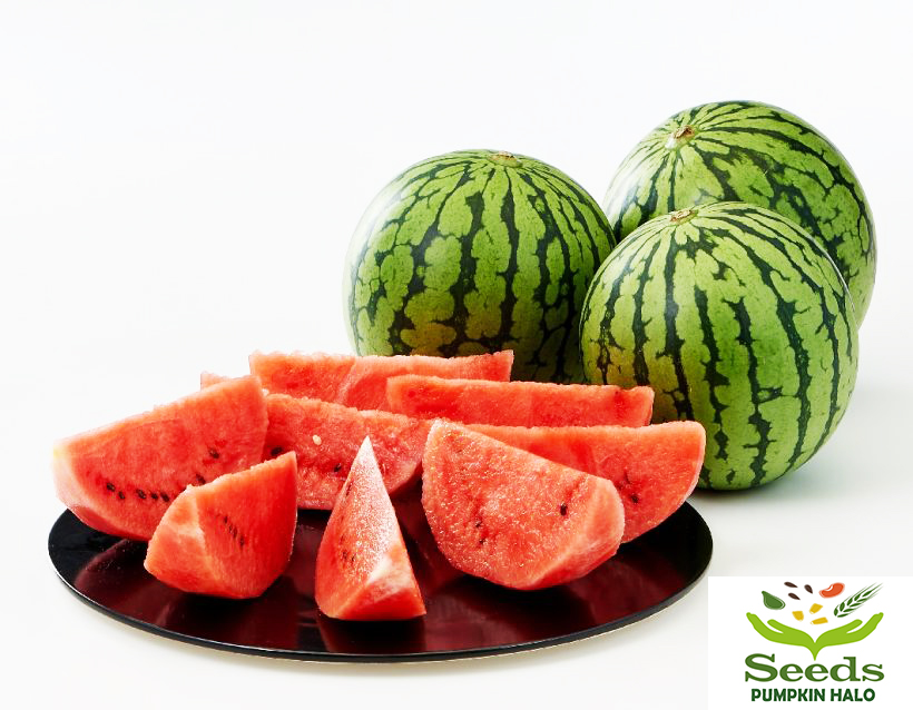 [HCM]Hạt Giống Dưa Hấu F1 Baby Ruột Đỏ -dưa hấu táo Hàn Quốc - Gói 5 hạt-hàng cty chất lượng tốt