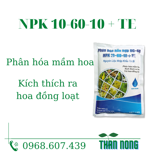 Phân bón lá npk 10-60-10 + te giúp cây phân hóa mầm hoa, trổ hoa đồng loạt
