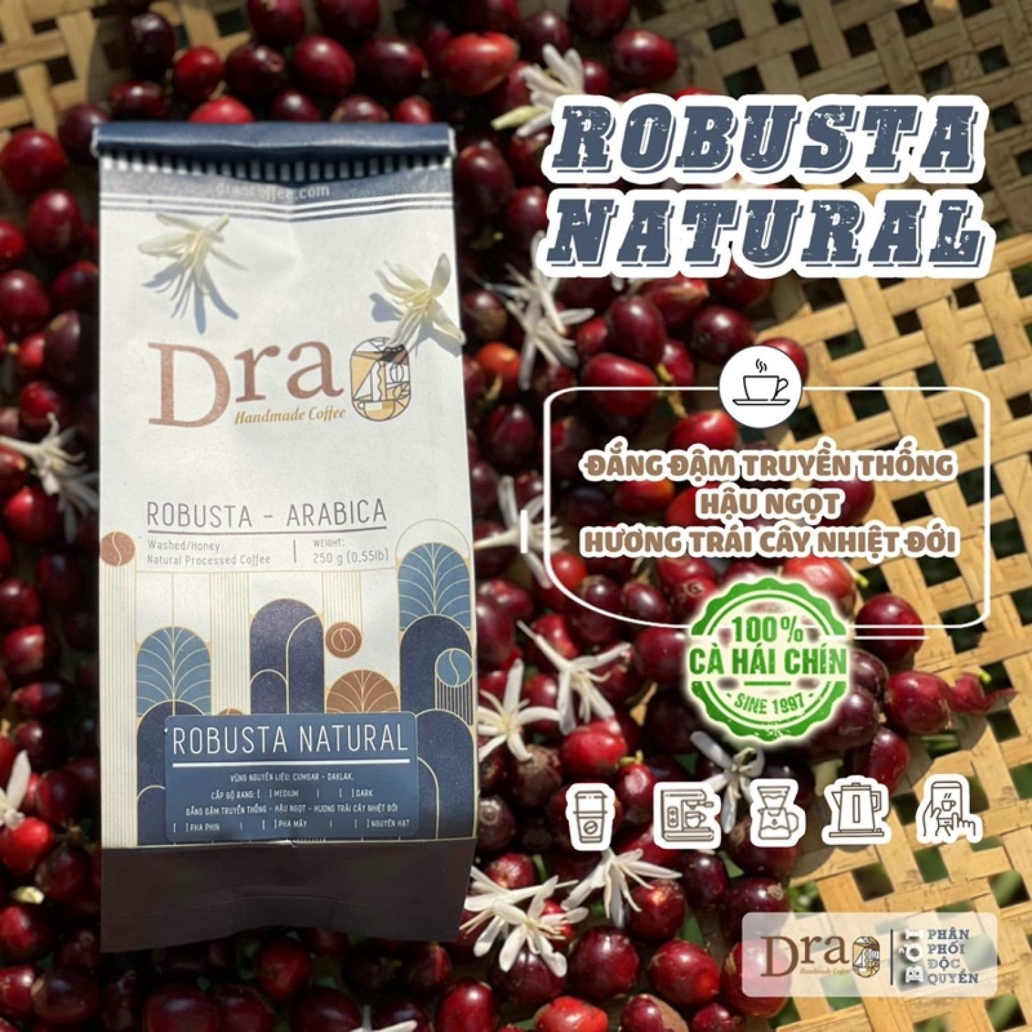 Cà phê Robusta Natural 100% nguyên chất rang mộc, cà phê sạch hữu cơ, pha phin, pha máy, espresso