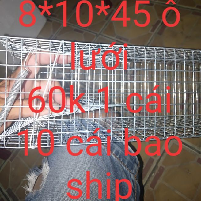 bẫy đánh rắn và chồn