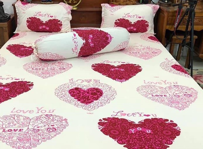 Bộ drap thun 4 món loại 1 mát lạnh nhiều mẫu 1m6 /1m8