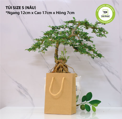 Túi giấy kraft nâu đựng quà, quần áo, thời trang, phụ kiện đơn giản nhiều kích thước