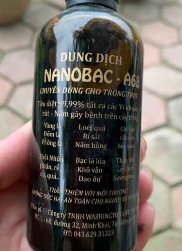 Dung dịch nano bạc - a68 nano ag - diệt nấm trên cây trồng