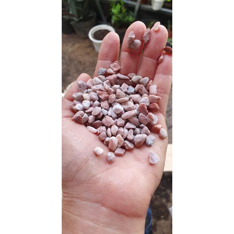 1kg Sỏi màu trắng, vàng hồng, đen Trang trí chậu cây nhiều màu lựa chọn.