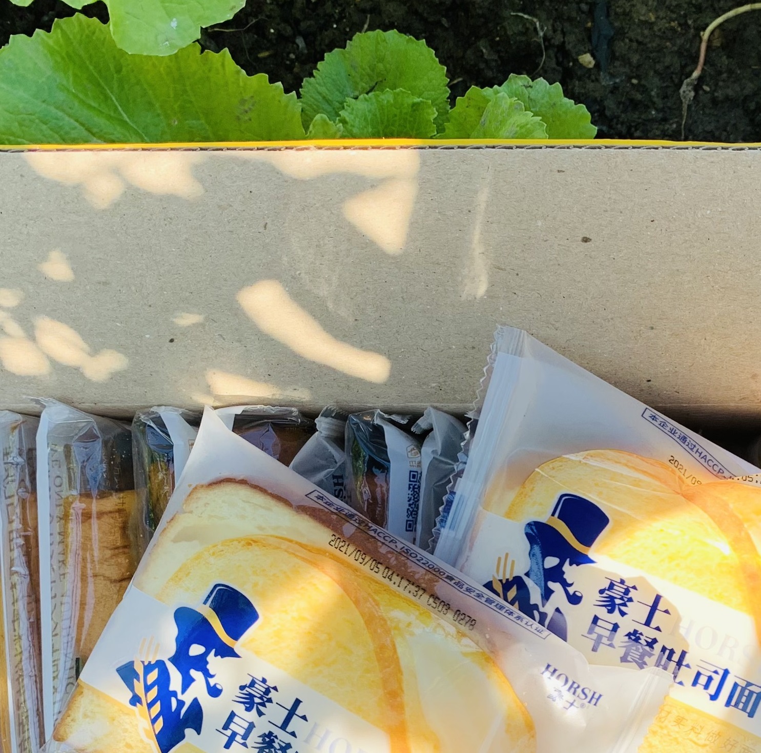 1 hộp bánh sandwich kẹp sữa chua ông già HORSH - doanngonvietnam
