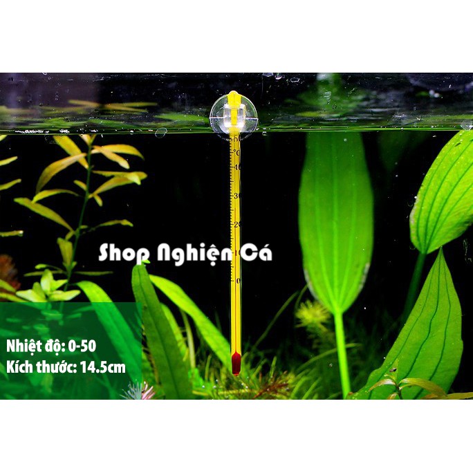 Nhiệt kế thủy ngân cho hồ cá cảnh