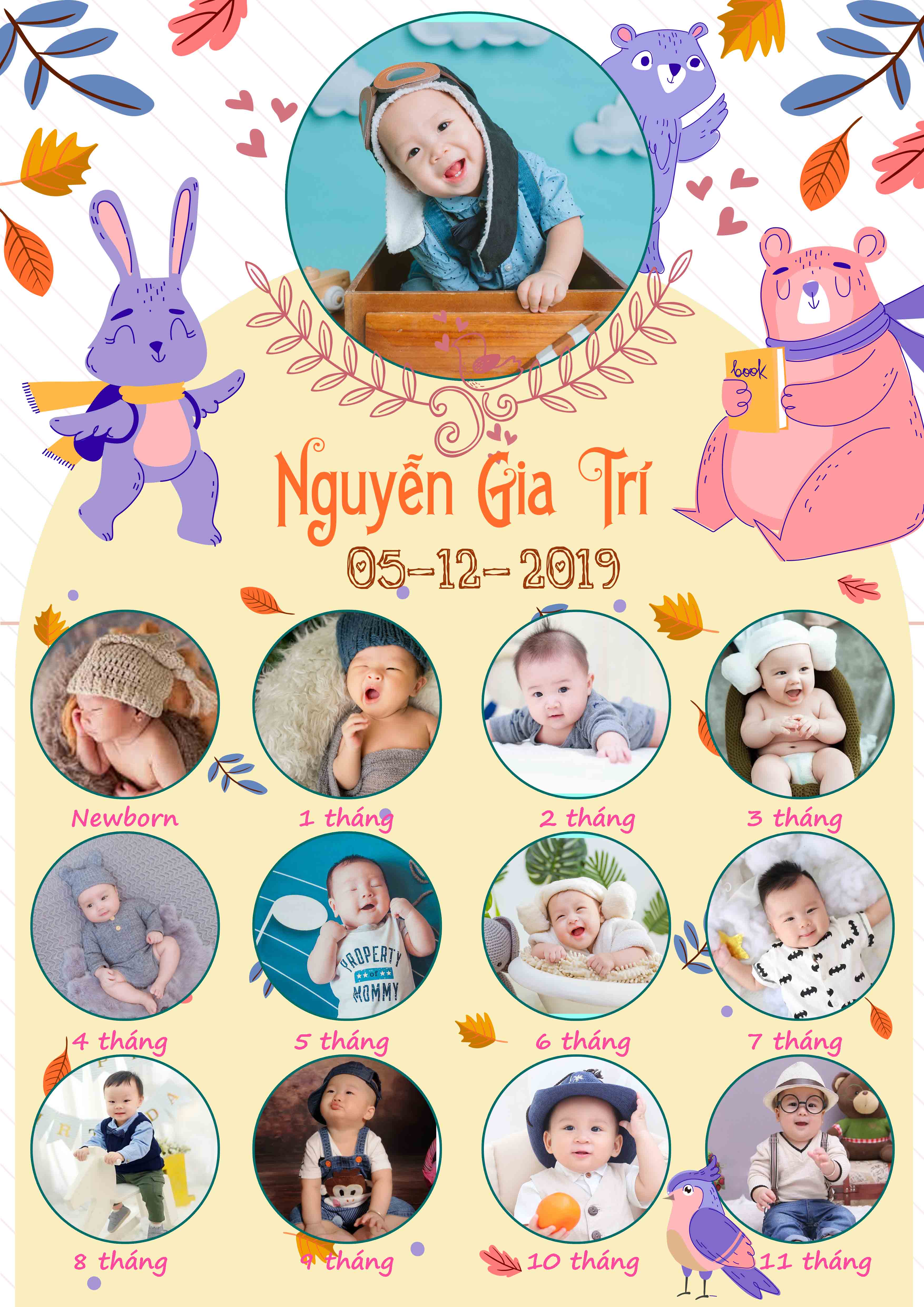 Nhận đặt gấp- Bộ sưu tập 12 tháng ảnh bé trang trí sinh nhật, thôi nôi bé trai bé gái