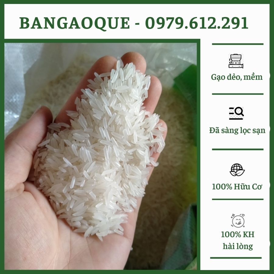 1kg gạo st25 - gạo thơm st25 ngon, thơm, dẻo