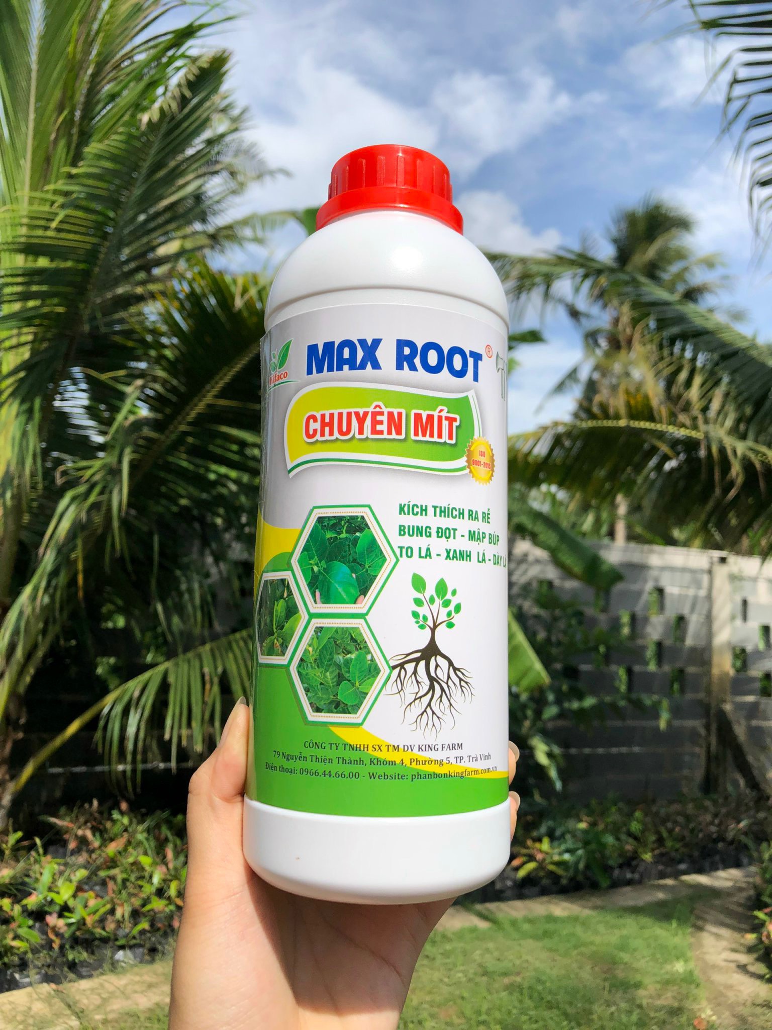 MAX ROOT - CHUYÊN MÍT