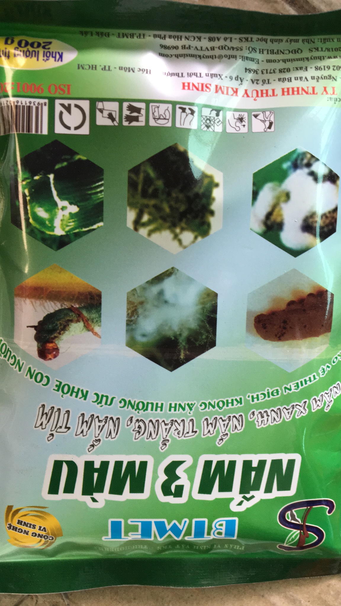 Nấm 3 màu Nấm xanh nấm trắng Nấm tím