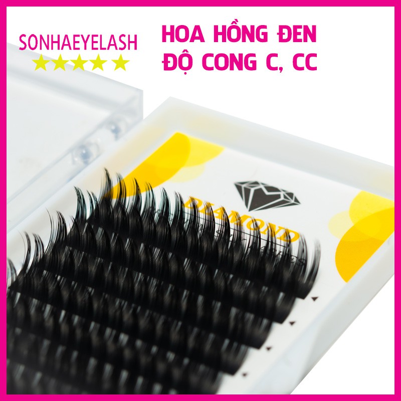 Mi hoa hồng đen, mi hoa sơn trà
