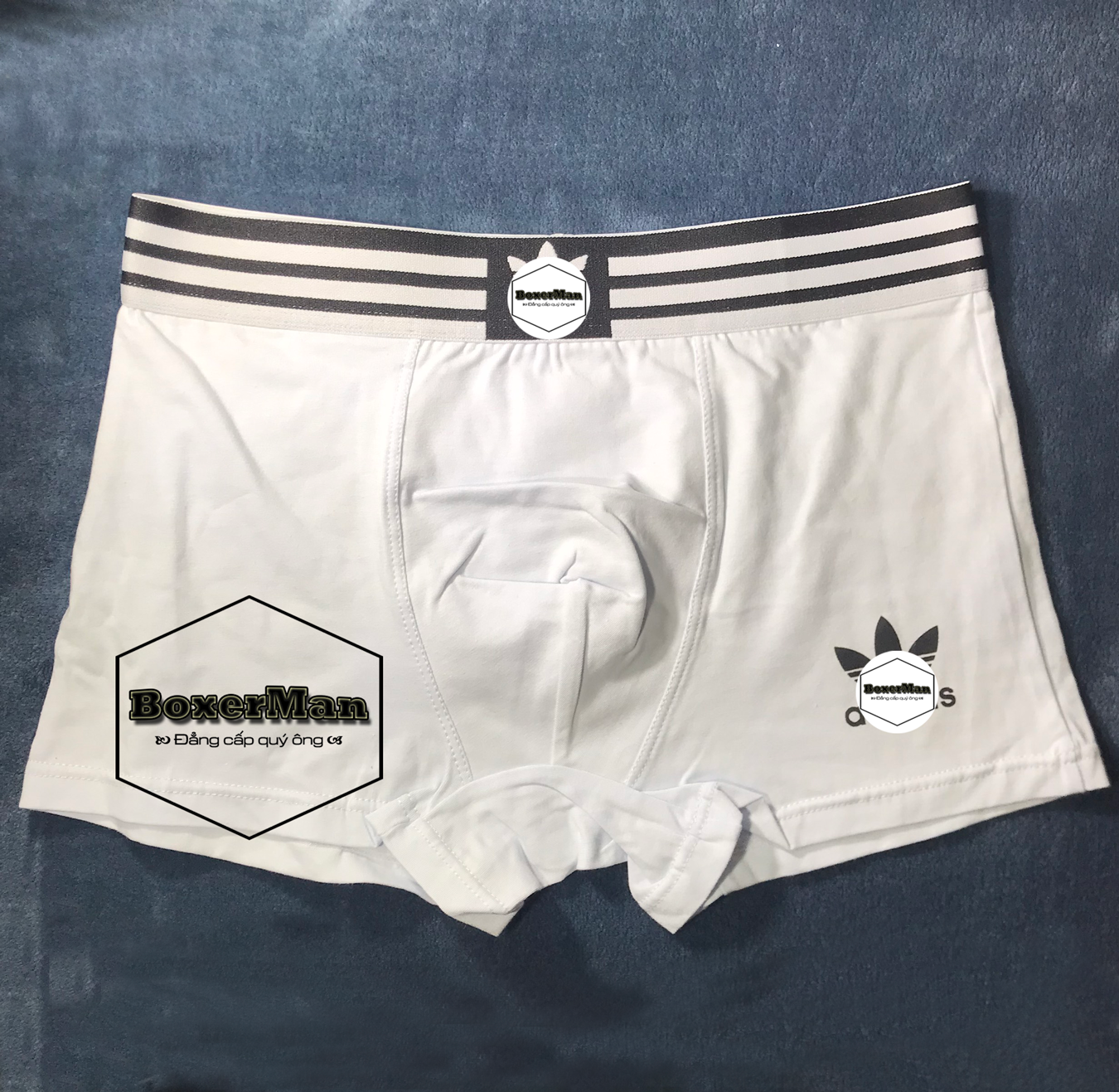 Quần lót nam Boxer Cotton Mẫu DAS cao cấp hàng xuất khẩu chất thun co dãn 4 chiều